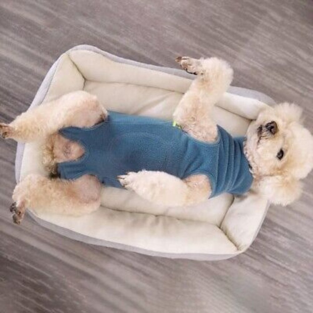 Dog Warm Coat, Polar Fleece Dog Pajamas Bodysuit for Small Medium Dogs Cats